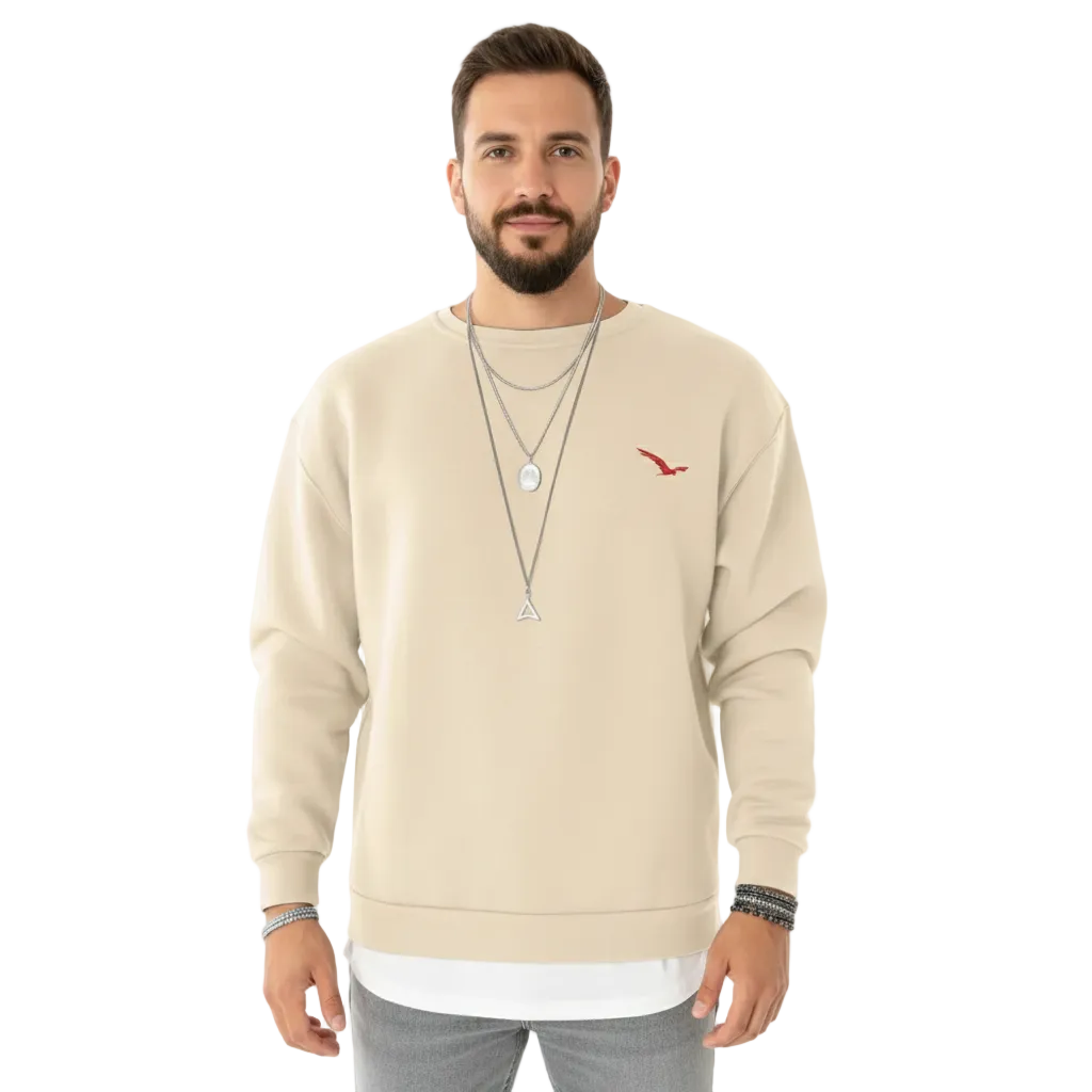 Arne Pull Homme Casual – Col Rond Confortable avec Logo Brodé Élégant